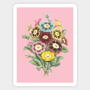 Primrose Flower Bouquet Vintage Botanical Illustration Magnet